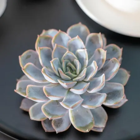 Uniklinik-naehe Modernes Apartment, Mit Balkon *