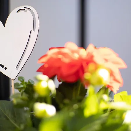 Uniklinik-naehe Modernes Apartment, Mit Balkon *