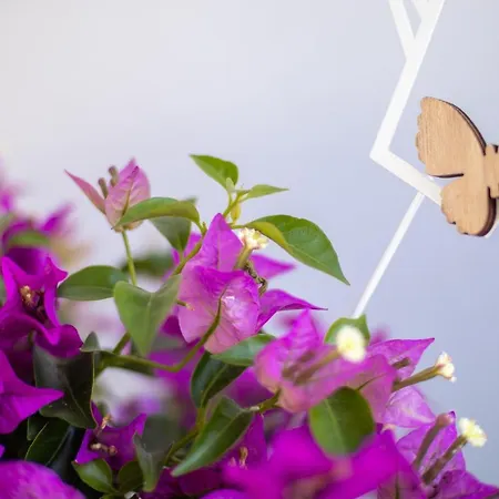 Uniklinik-naehe Modernes Apartment, Mit Balkon * 부퍼탈