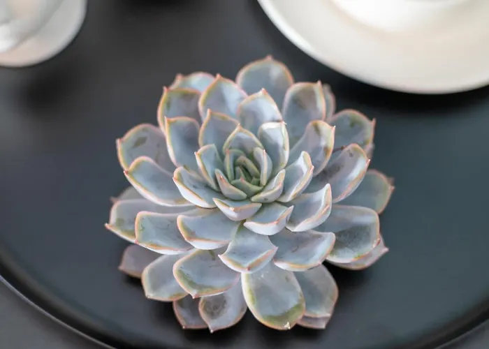 Uniklinik-naehe Modernes Apartment, Mit Balkon *