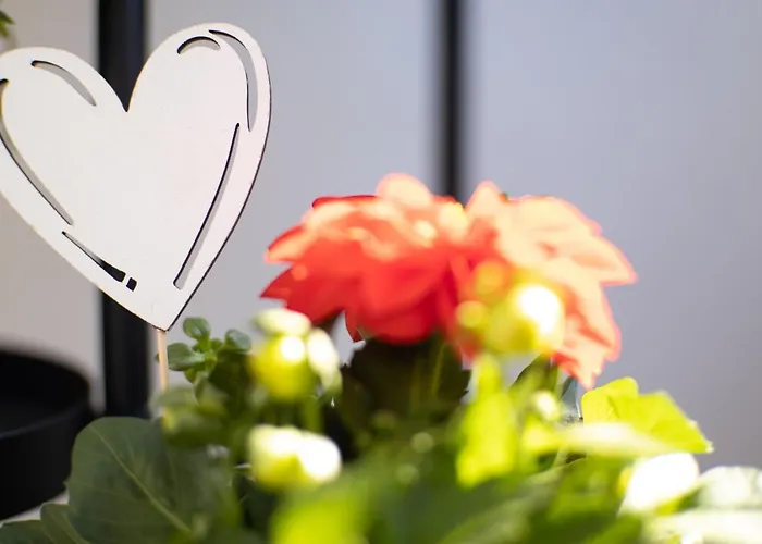 Uniklinik-naehe Modernes Apartment, Mit Balkon *