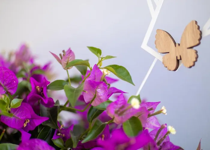 Uniklinik-naehe Modernes Apartment, Mit Balkon * Wuppertal